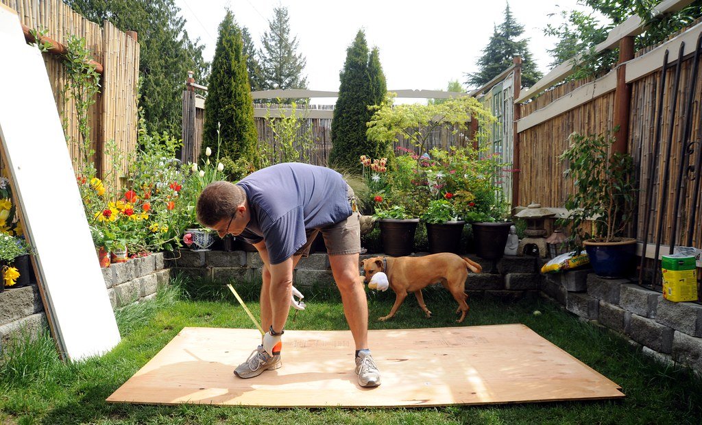 Person working in a back garden